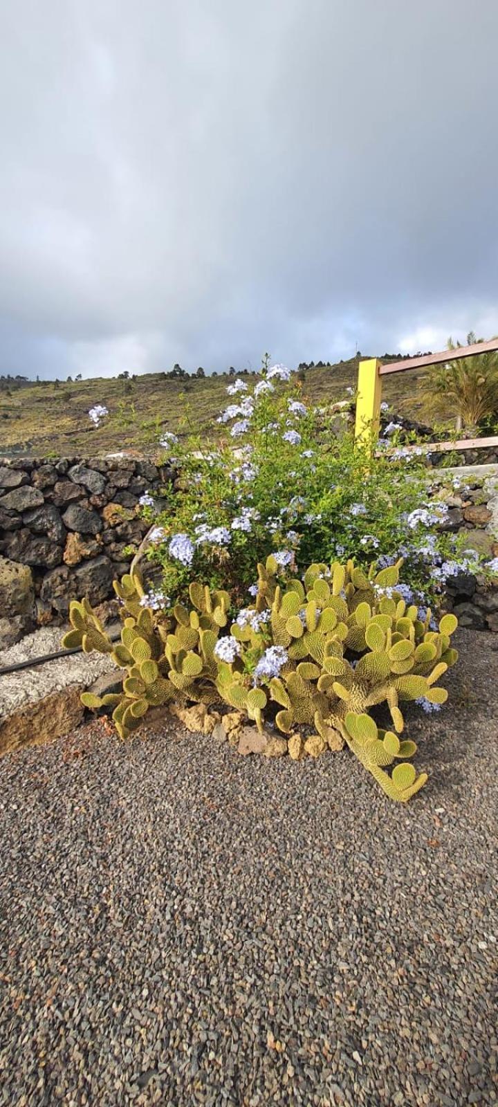 Casa Domingo Simon Villa Fuencaliente de la Palma Eksteriør bilde